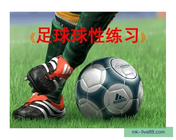 今日足球篮球赛事深度解析与高胜率体育竞猜推荐稳健思路分享