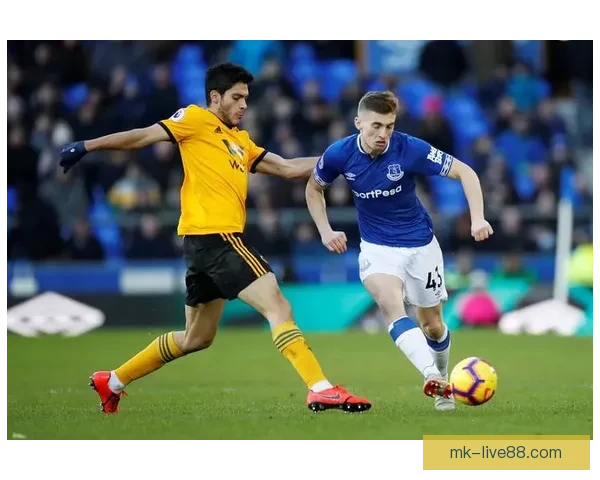 世界杯竞猜网站全面解析 提供精准胜负预测与实时数据分析